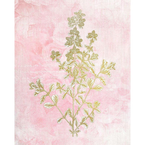 Botanical Pink 2 White Modern Wood Framed Art Print by Kimberly, Allen