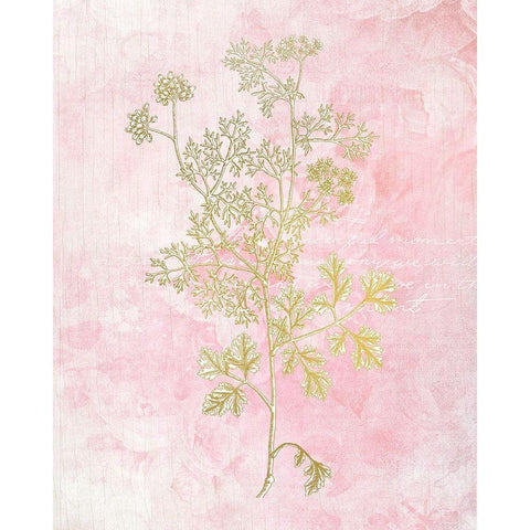 Botanical Pink 3 Gold Ornate Wood Framed Art Print with Double Matting by Kimberly, Allen