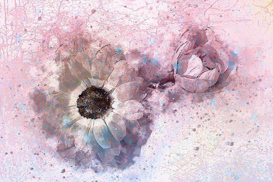Image Only