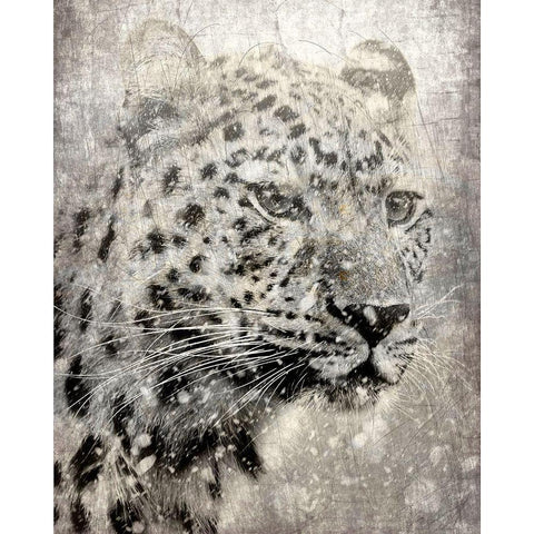 Winters Gaze White Modern Wood Framed Art Print by Kimberly, Allen