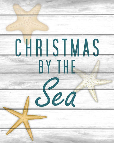 Christmas by the Sea 2 Black Ornate Wood Framed Art Print with Double Matting by Kimberly, Allen