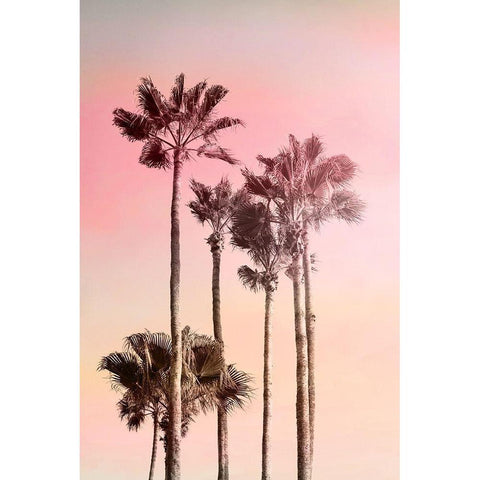 Pink Sunset 1 White Modern Wood Framed Art Print by Kimberly, Allen