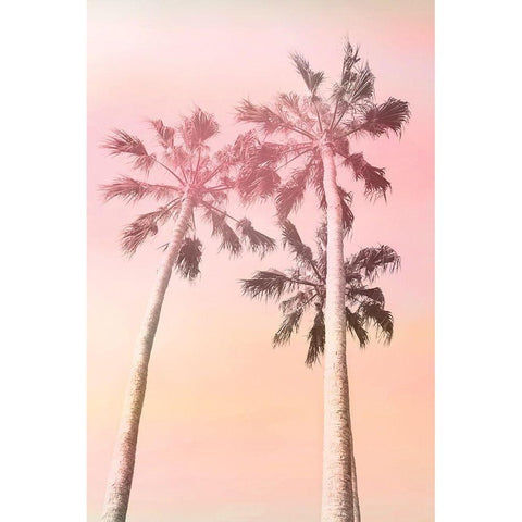 Pink Sunset 2 Black Modern Wood Framed Art Print with Double Matting by Kimberly, Allen