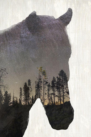 Starry Night Horse White Modern Wood Framed Art Print with Double Matting by Kimberly, Allen