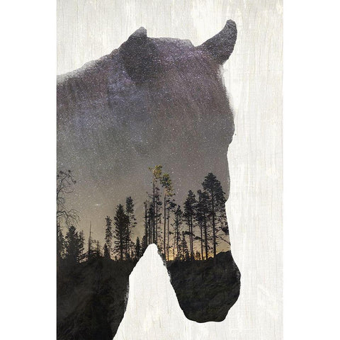 Starry Night Horse Black Modern Wood Framed Art Print with Double Matting by Kimberly, Allen
