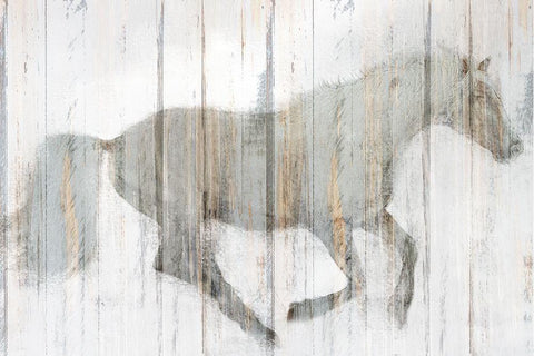 Whitewash Horse White Modern Wood Framed Art Print with Double Matting by Allen, Kimberly