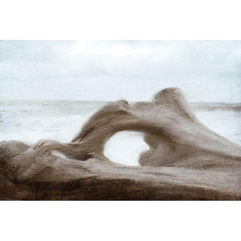 Driftwood Beach Gold Ornate Wood Framed Art Print with Double Matting by Kimberly, Allen