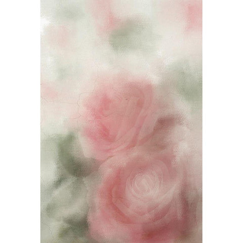 Roses in Bloom v2 White Modern Wood Framed Art Print by Kimberly, Allen