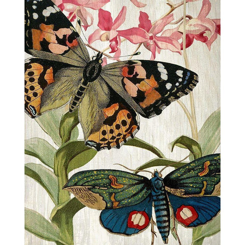 Butterfly World 1 Black Modern Wood Framed Art Print by Kimberly, Allen