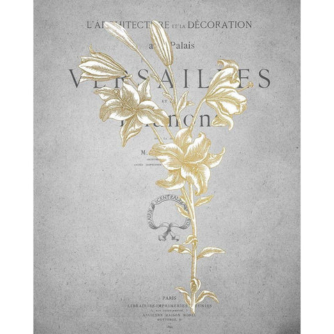 Gold Botanicals 1 Black Modern Wood Framed Art Print with Double Matting by Kimberly, Allen