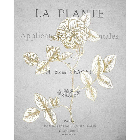 Gold Botanicals 3 Black Modern Wood Framed Art Print with Double Matting by Kimberly, Allen