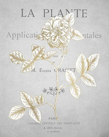 Gold Botanicals 3 Black Ornate Wood Framed Art Print with Double Matting by Kimberly, Allen