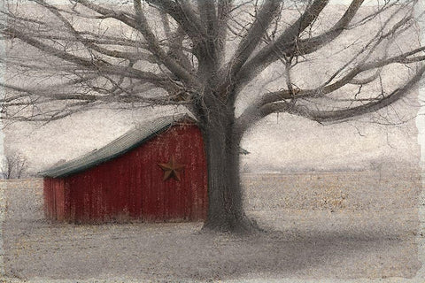 Barnyard Star White Modern Wood Framed Art Print with Double Matting by Allen, Kimberly