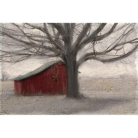 Barnyard Star Black Modern Wood Framed Art Print by Allen, Kimberly