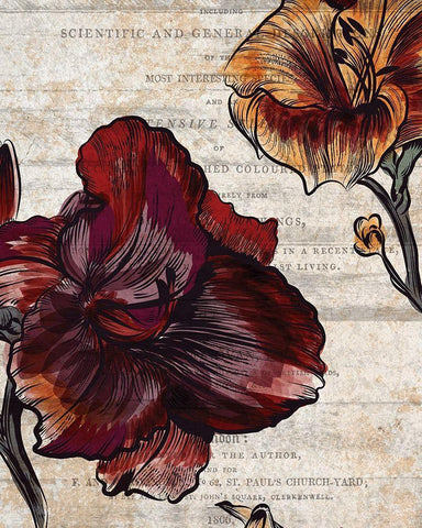 Brilliant Blooms 1 Black Ornate Wood Framed Art Print with Double Matting by Kimberly, Allen