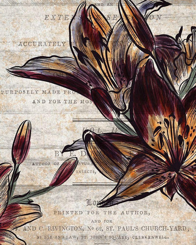 Brilliant Blooms 2 White Modern Wood Framed Art Print with Double Matting by Kimberly, Allen