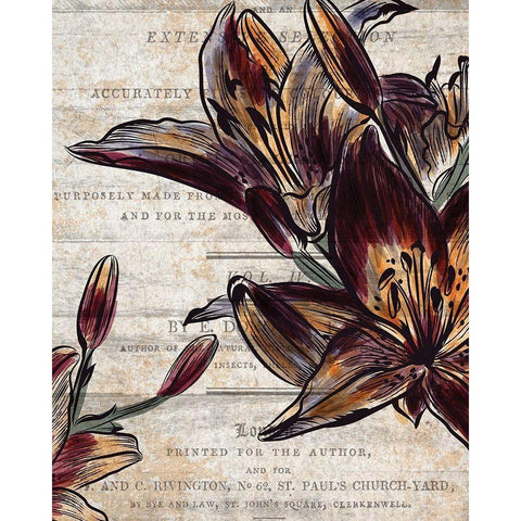 Brilliant Blooms 2 White Modern Wood Framed Art Print by Kimberly, Allen