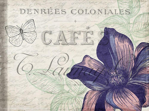 Lilac 1 White Modern Wood Framed Art Print with Double Matting by Kimberly, Allen