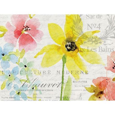 Spring Blooms 1 White Modern Wood Framed Art Print by Kimberly, Allen