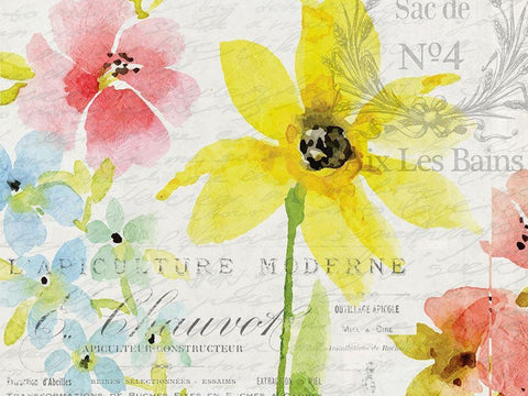 Spring Blooms 1 Black Ornate Wood Framed Art Print with Double Matting by Kimberly, Allen