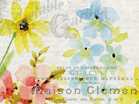 Spring Blooms 2 White Modern Wood Framed Art Print with Double Matting by Kimberly, Allen