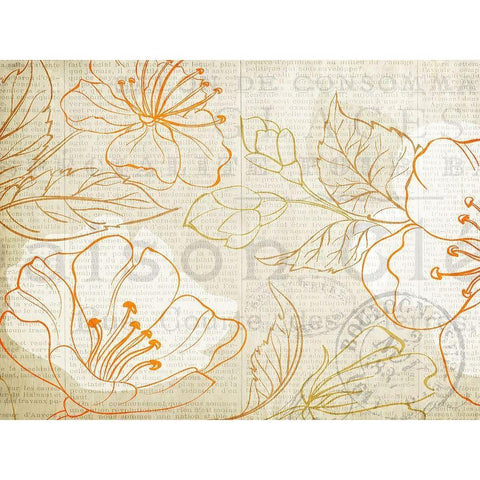 Summer Orange 1 Black Modern Wood Framed Art Print with Double Matting by Kimberly, Allen