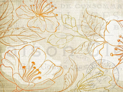 Summer Orange 1 White Modern Wood Framed Art Print with Double Matting by Kimberly, Allen