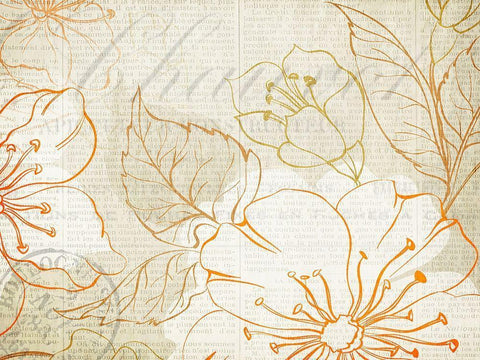 Summer Orange 2 Black Ornate Wood Framed Art Print with Double Matting by Kimberly, Allen