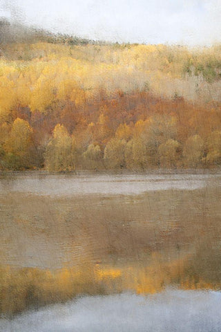 Quiet Pond Black Ornate Wood Framed Art Print with Double Matting by Kimberly, Allen