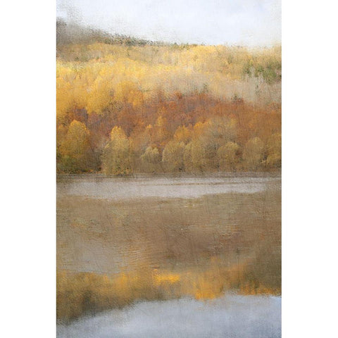 Quiet Pond Black Modern Wood Framed Art Print by Kimberly, Allen