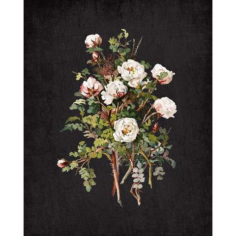 Roses on Black 2 Gold Ornate Wood Framed Art Print with Double Matting by Kimberly, Allen