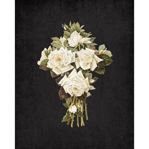 Roses on Black 3 White Modern Wood Framed Art Print by Kimberly, Allen