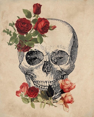 Skull Roses White Modern Wood Framed Art Print with Double Matting by Kimberly, Allen