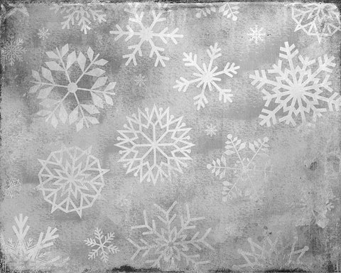 Snowflake Day White Modern Wood Framed Art Print with Double Matting by Kimberly, Allen