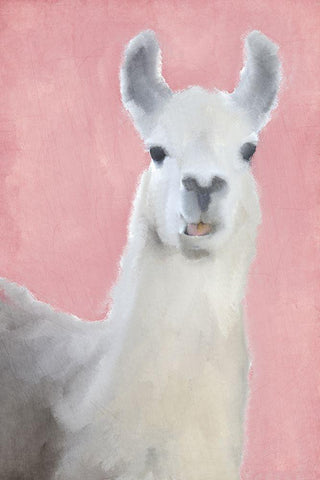 Llama on Pink White Modern Wood Framed Art Print with Double Matting by Kimberly, Allen