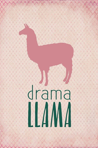 Drama Llama White Modern Wood Framed Art Print with Double Matting by Kimberly, Allen