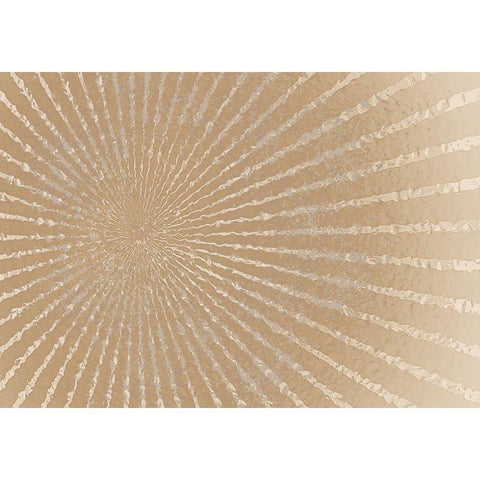 Burst White Modern Wood Framed Art Print by Kimberly, Allen