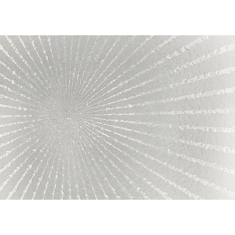 Silver Burst Black Modern Wood Framed Art Print with Double Matting by Kimberly, Allen