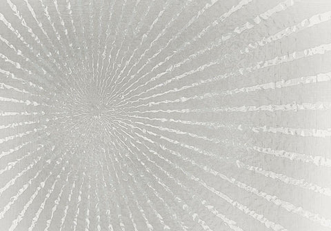 Silver Burst Black Ornate Wood Framed Art Print with Double Matting by Kimberly, Allen