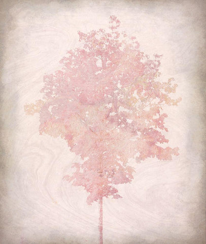 Pink Tree 1 White Modern Wood Framed Art Print with Double Matting by Kimberly, Allen