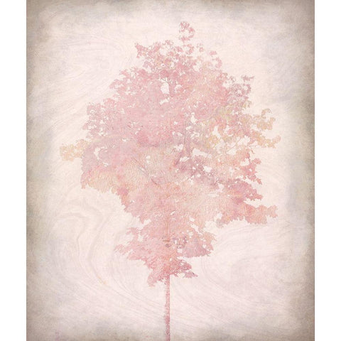 Pink Tree 1 White Modern Wood Framed Art Print by Kimberly, Allen