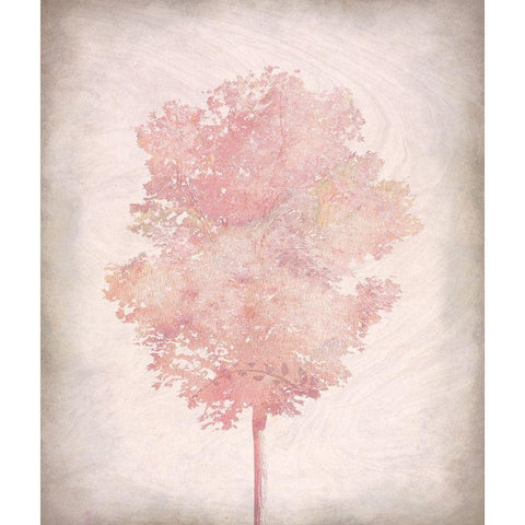 Pink Tree 2 White Modern Wood Framed Art Print by Kimberly, Allen