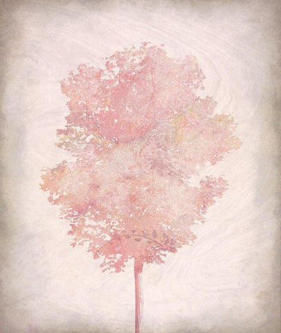 Pink Tree 2 Black Ornate Wood Framed Art Print with Double Matting by Kimberly, Allen