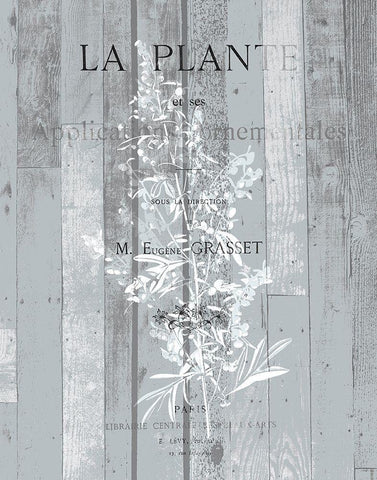 La Plante 1 White Modern Wood Framed Art Print with Double Matting by Kimberly, Allen