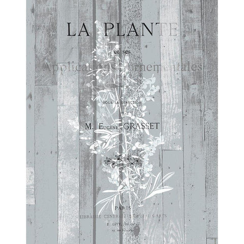 La Plante 1 White Modern Wood Framed Art Print by Kimberly, Allen