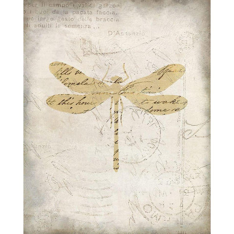 Dragonfly Letters 1 Gold Ornate Wood Framed Art Print with Double Matting by Kimberly, Allen