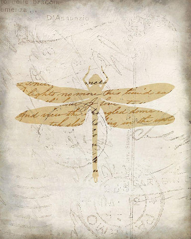 Dragonfly Letters 3 Black Ornate Wood Framed Art Print with Double Matting by Kimberly, Allen