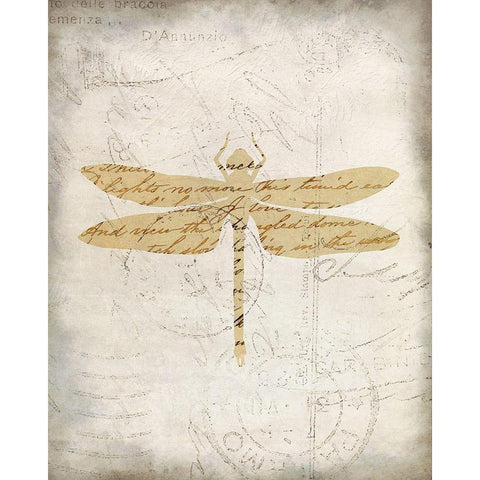 Dragonfly Letters 3 Black Modern Wood Framed Art Print with Double Matting by Kimberly, Allen