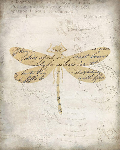 Dragonfly Letters 2 Black Ornate Wood Framed Art Print with Double Matting by Kimberly, Allen