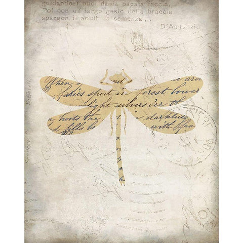 Dragonfly Letters 2 Black Modern Wood Framed Art Print by Kimberly, Allen
